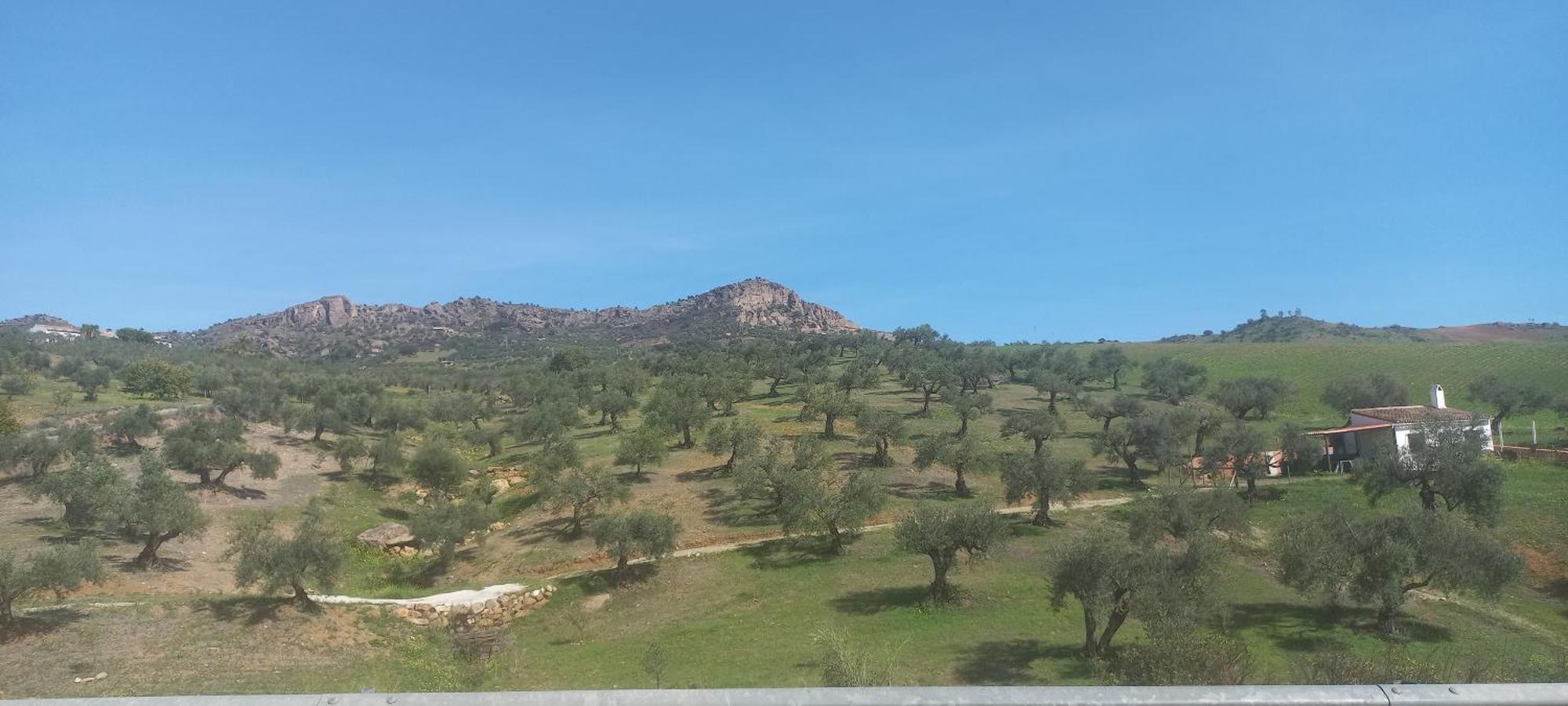 Casa Del Sueno Bed & Breakfast Алора Екстериор снимка